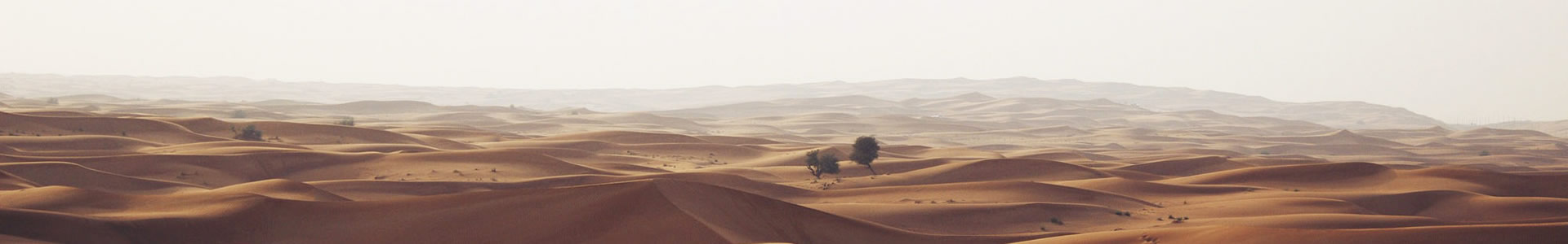 ϺĵܿƼ޹˾
